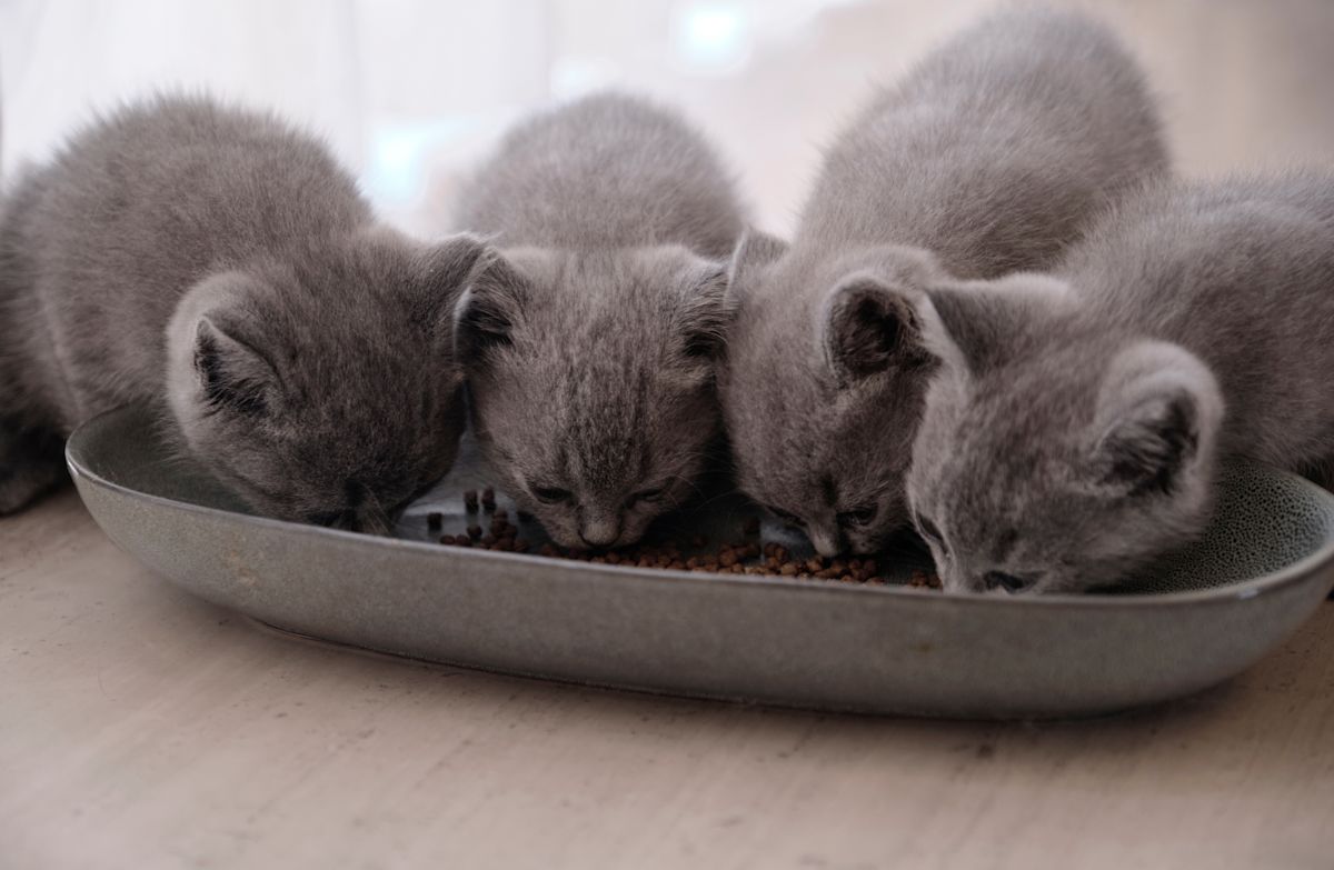 AdobeStock 532625601 (1)