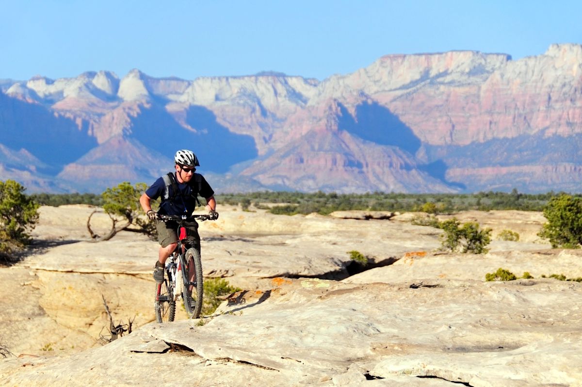 AdobeStock 560390750