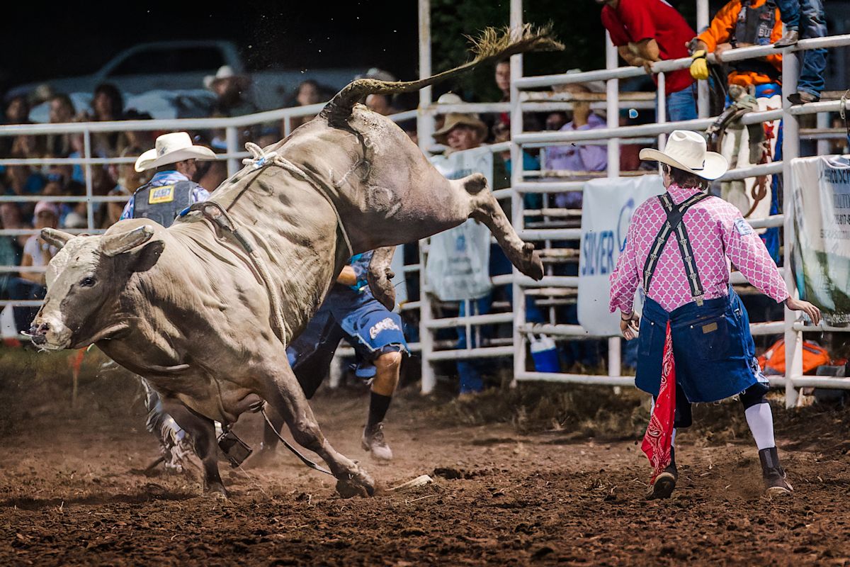 AdobeStock 528717601