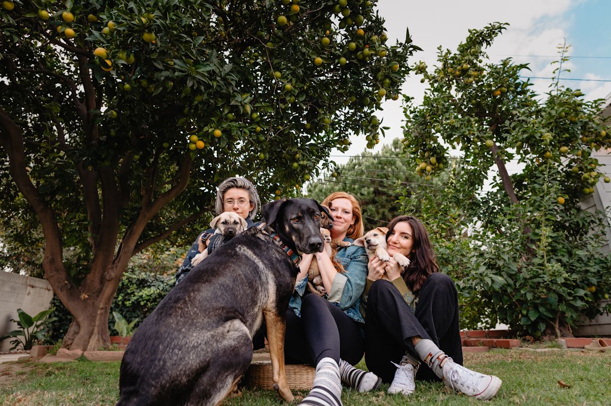 AdobeStock 825234103