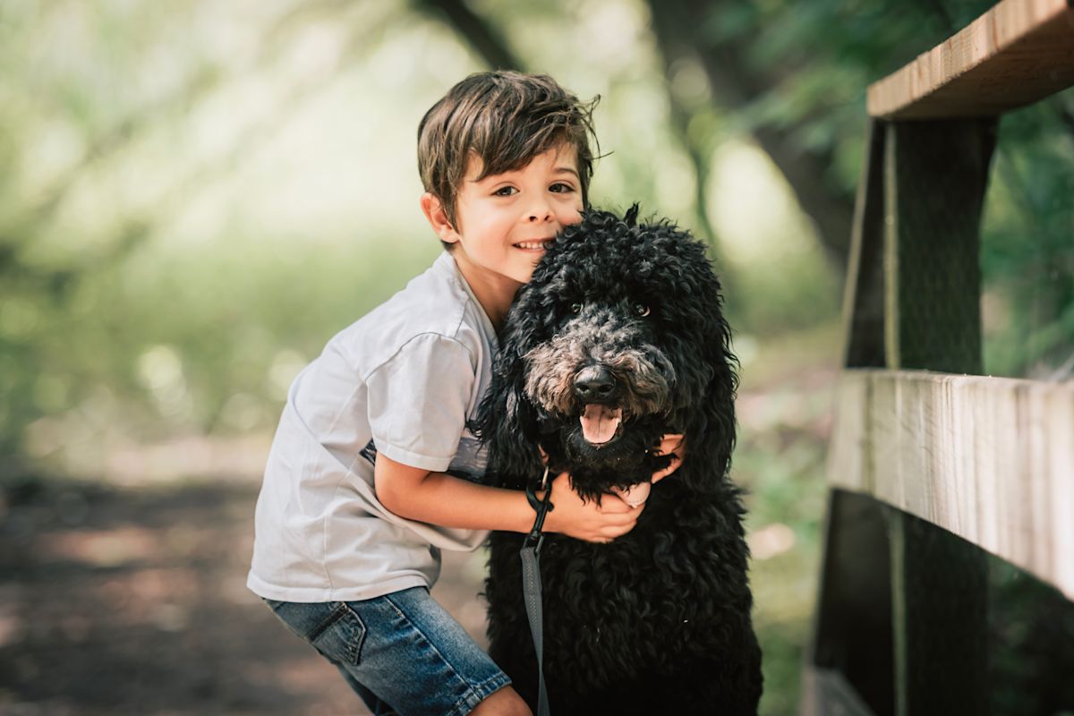 AdobeStock 625224080 copy