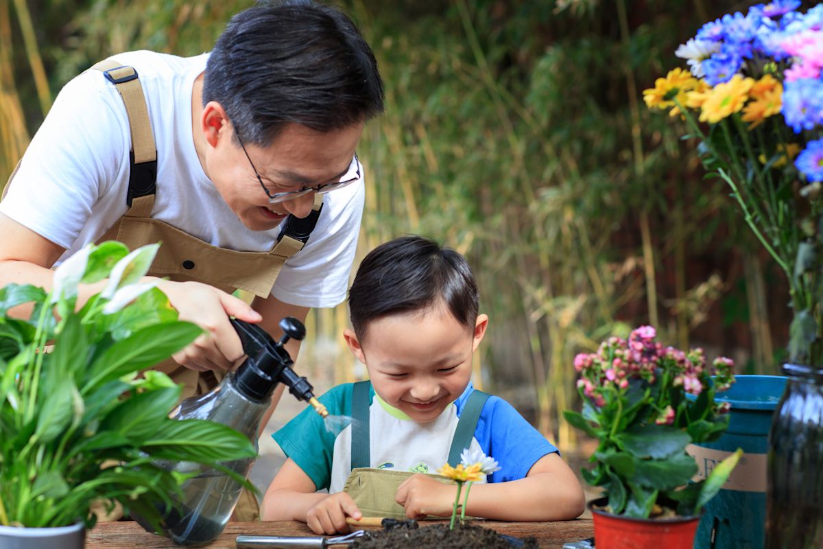 Find plants on Home and Garden.