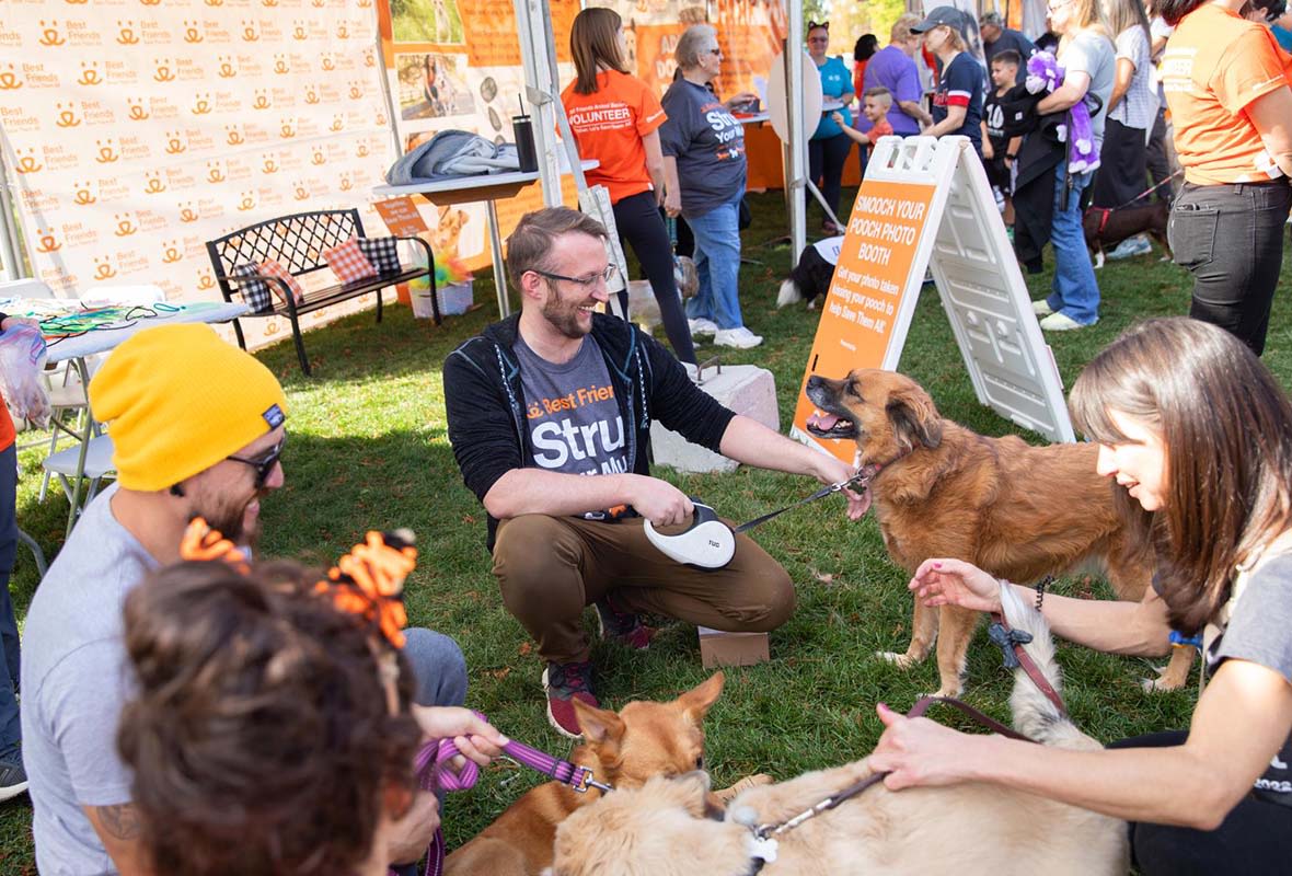Attendees Gather at Salt Lake City's Strut Your Mutt Fundraiser put on by Best Friends.