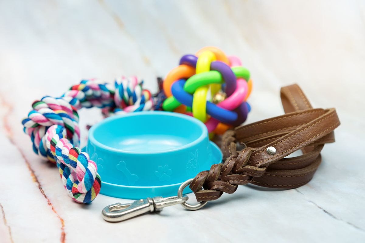 A bundle of pet supplies including: a leash, toys, and food bowl.