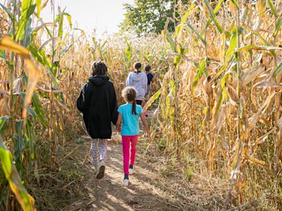 Score secondhand tickets for Utah fall events or Utah concerts on KSL