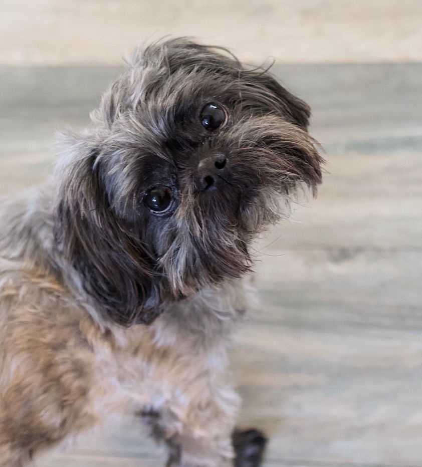 A6822704-8B06-4A13-91BD-44C484B1BA88 1 105 c (1)