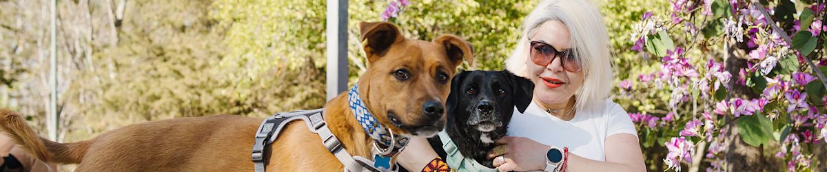 What is the Best Friends foster program?