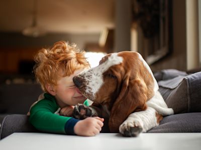 Join us: KSL donation match for the Humane Society of Utah on Aug. 6