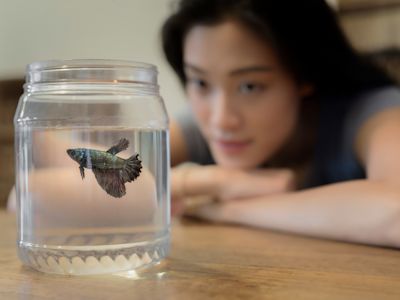 A look at the 8 best pets for tanks and aquariums