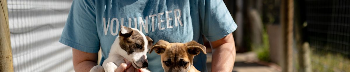 The Humane Society of Utah donation match with KSL was a huge success