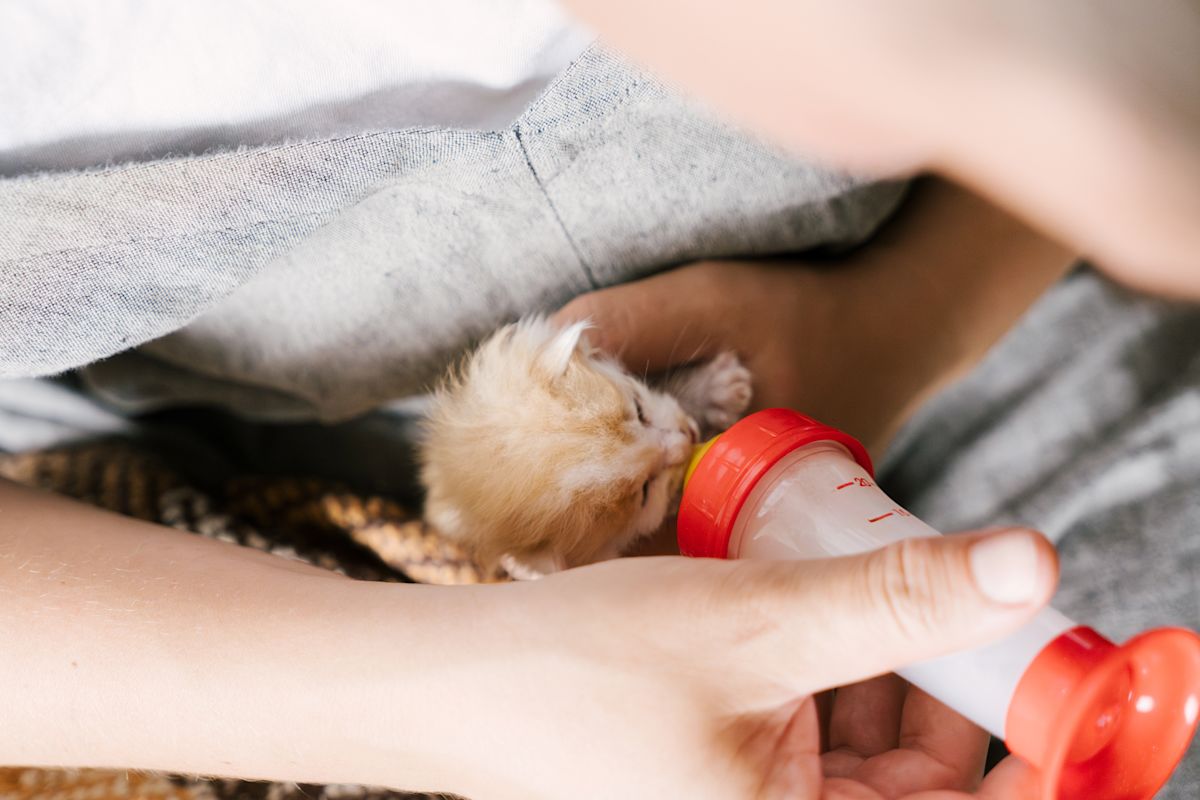 AdobeStock 1642729099