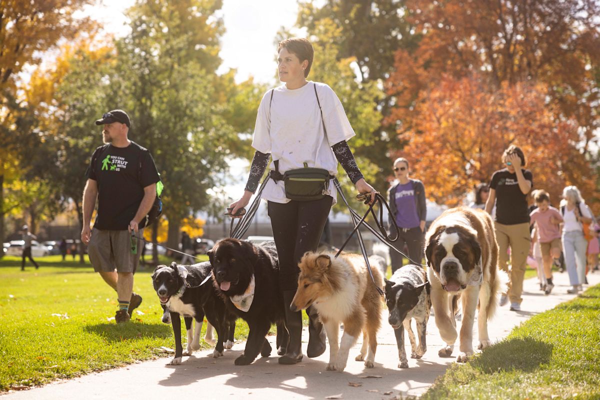Take your dog to Strut Your Mutt 2024 in Salt Lake City.