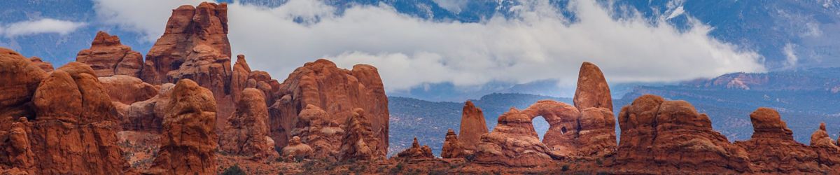 High-revving roadster: The Honda S2000