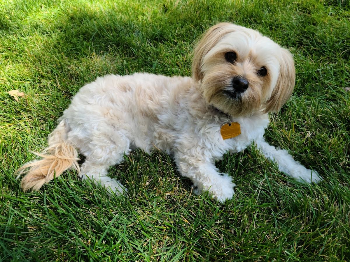 IMG 20201010 141831 (1)