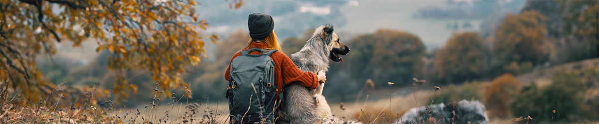 How pet listing fees on KSL Classifieds keep animals safe