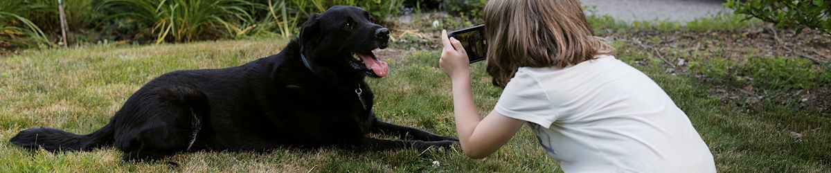 Your best KSL Classifieds find could be our next story