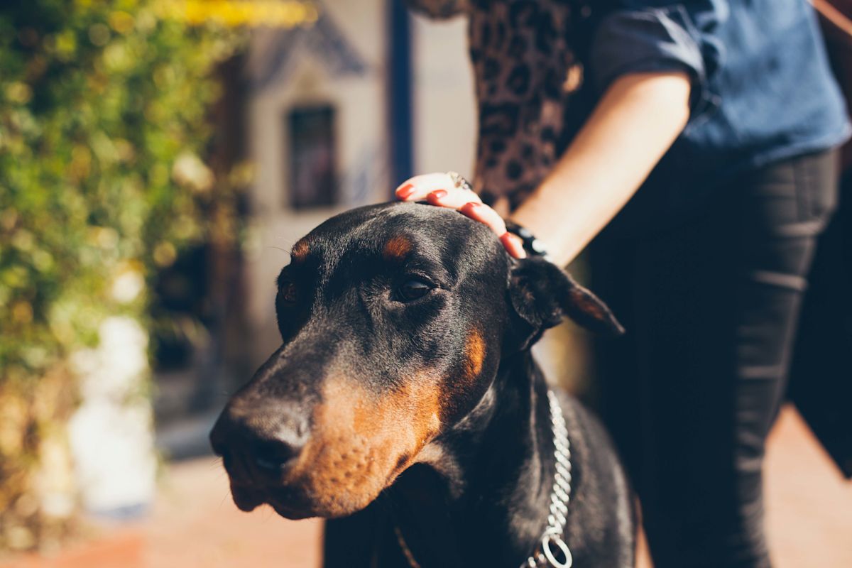 AdobeStock 380153409