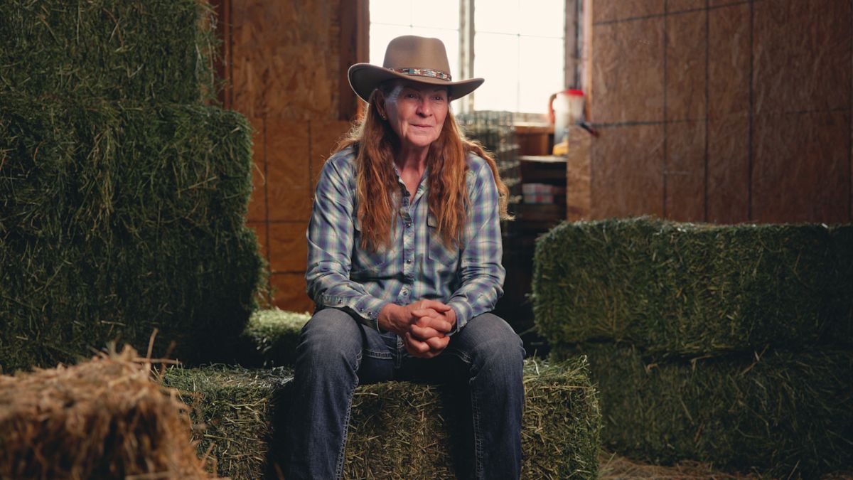 Still 2025-10-14 135503 1.6.1