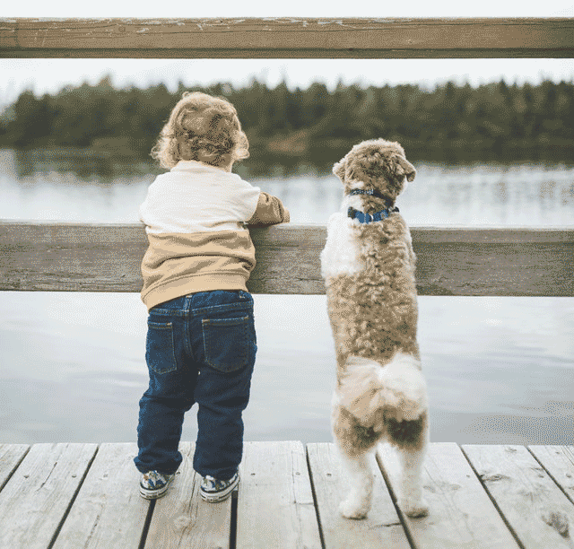 If you have kids, a dog can be their best friend