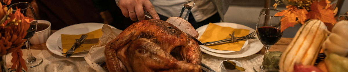 Thanksgiving dinner - RDNE Stock project