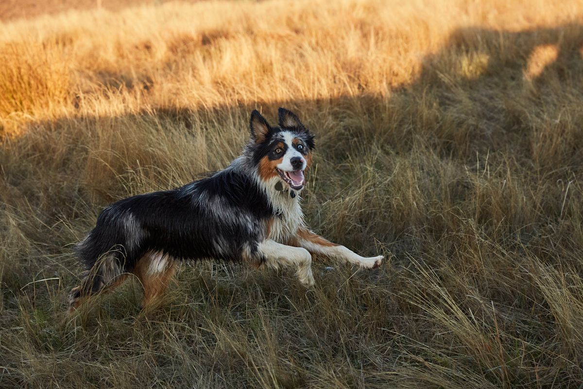 AdobeStock 546789210