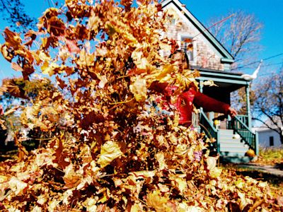 Fall cleanup is easy with affordable used tools from KSL