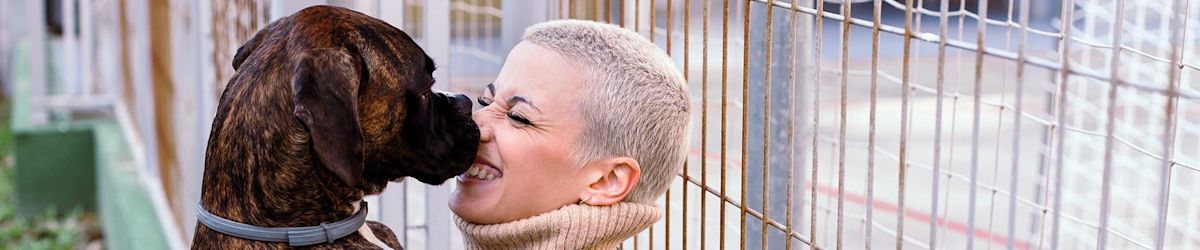 Utah’s path to no-kill: A 2023 data review from Best Friends Animal Society