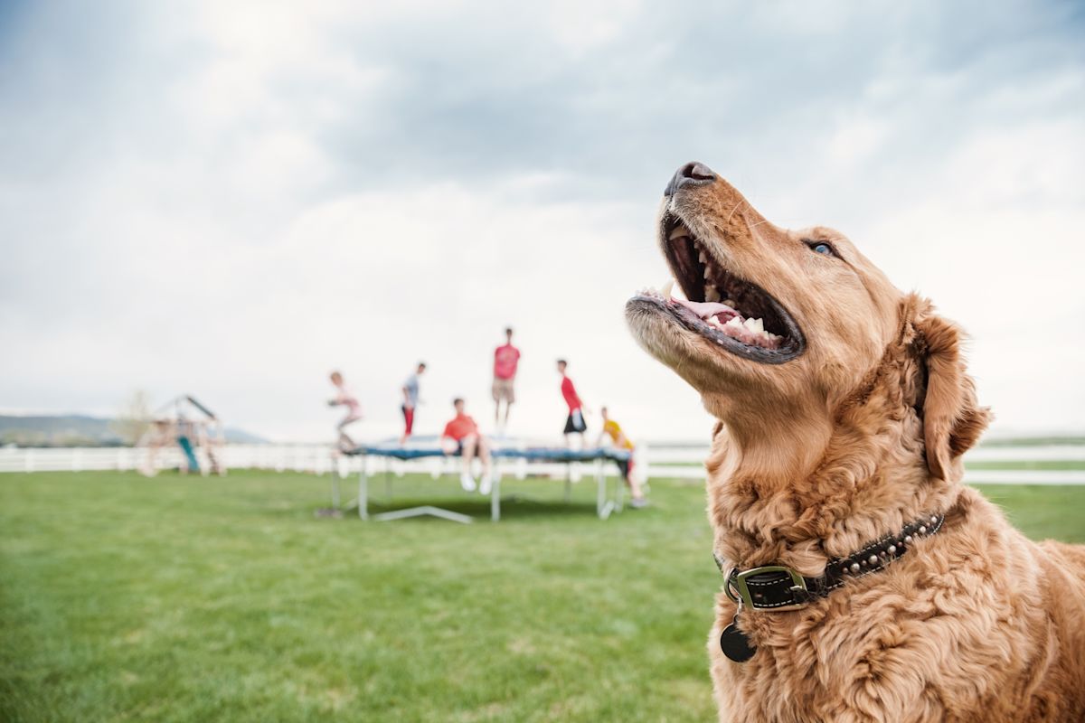 AdobeStock 375747167