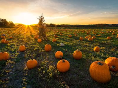 Need seasonal workers? Find them with KSL Jobs