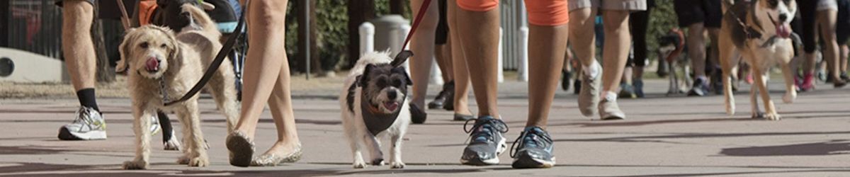 The 2023 Strut Your Mutt event is coming up on October 21st in Salt Lake City, Utah.