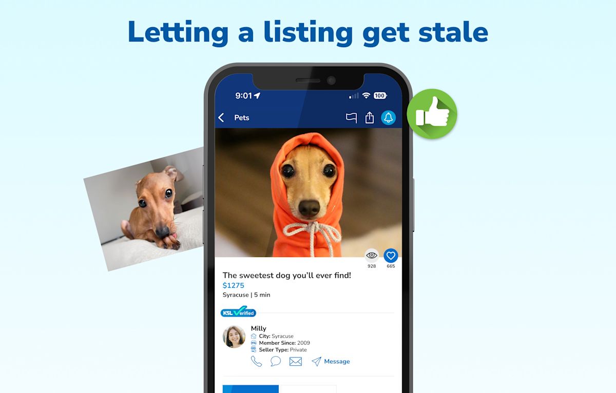 Graphic 9 - Letting a listing get stale