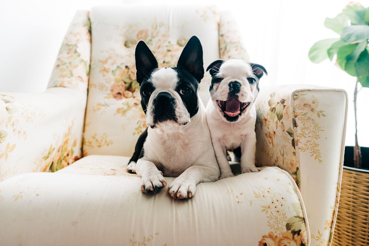 AdobeStock 420503794