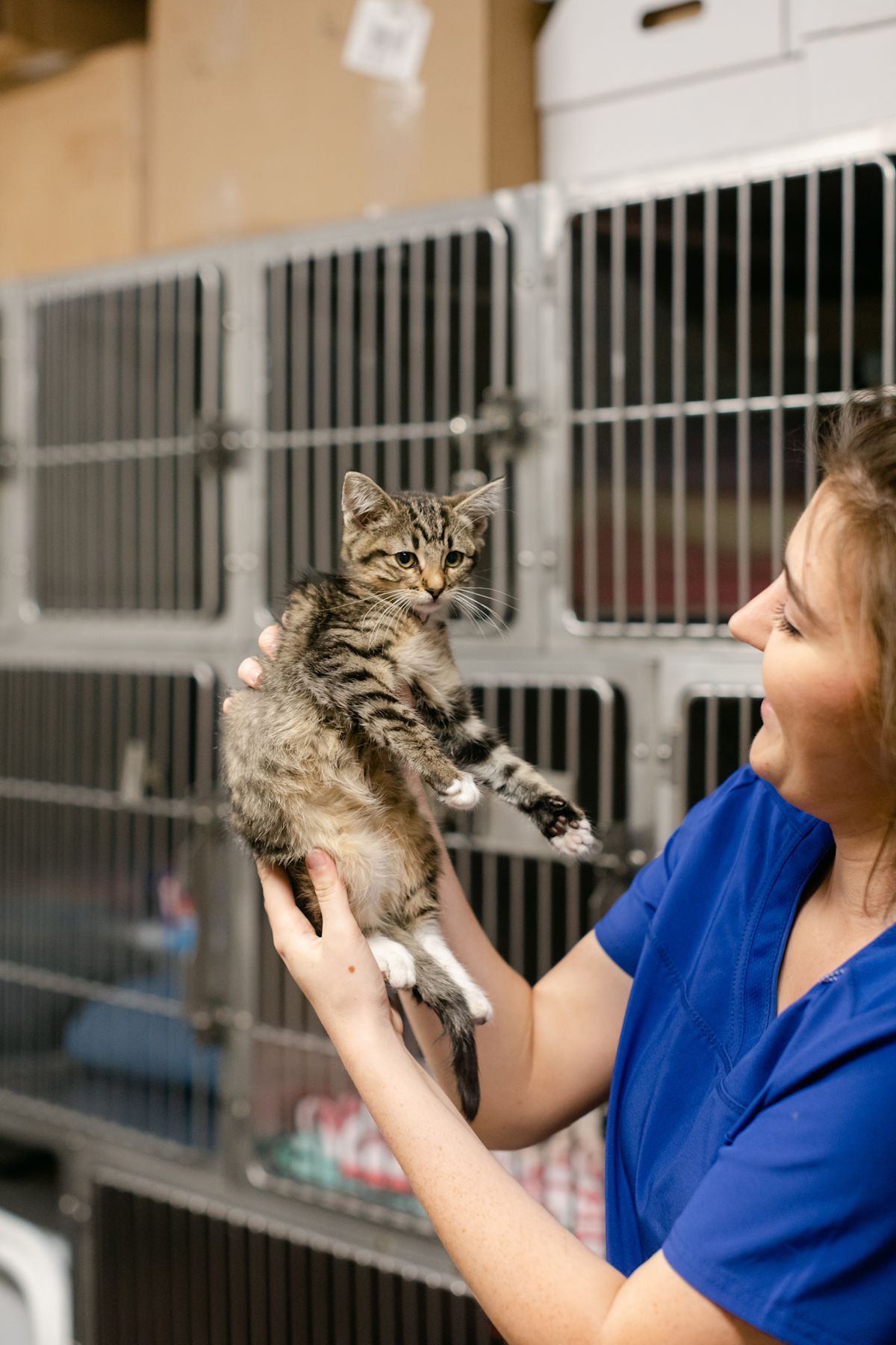 AdobeStock 518467174