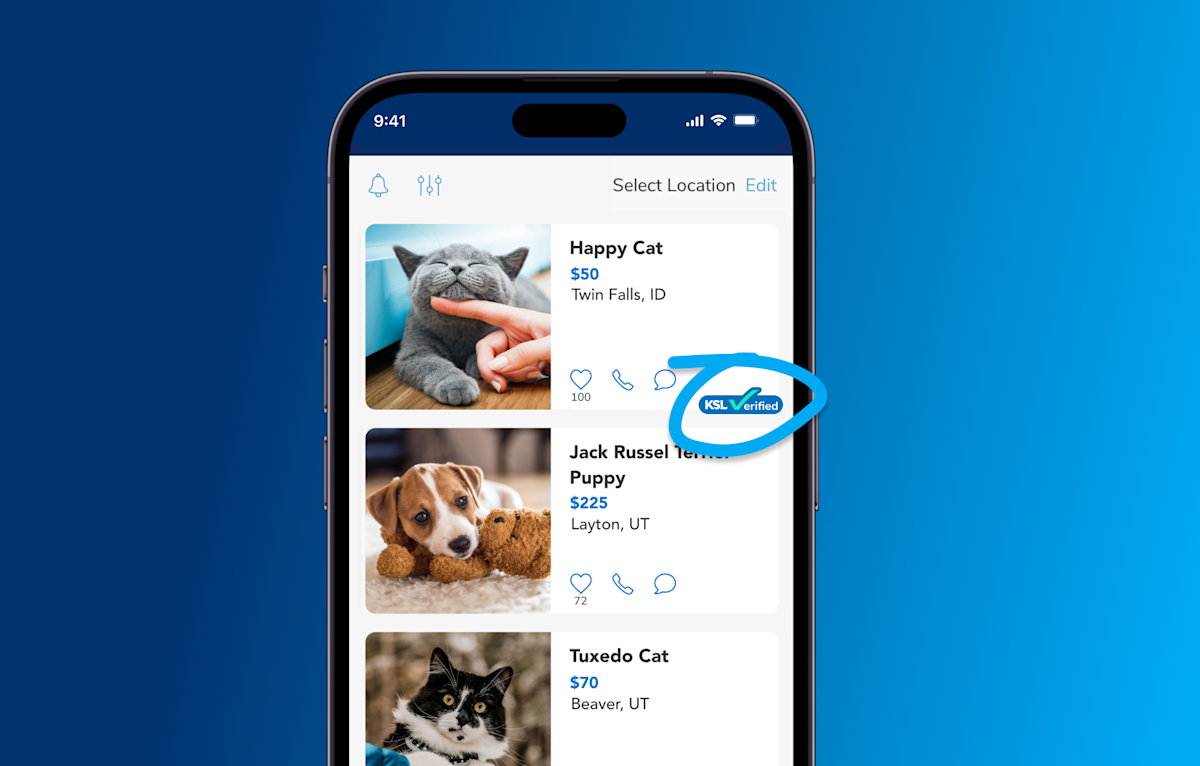 The collective impact (1)