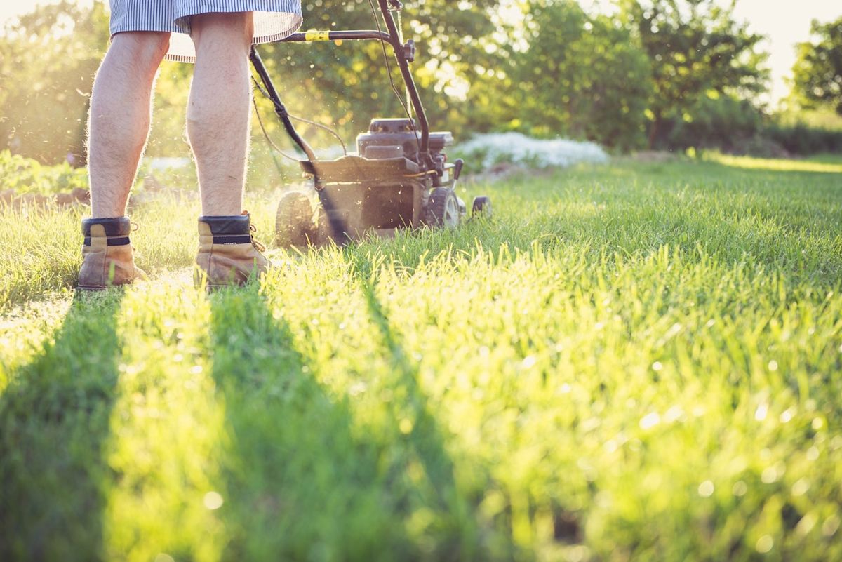 a man mowing a lawn