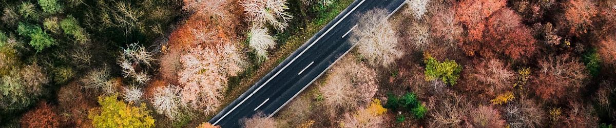 When Is the best time to buy a car?