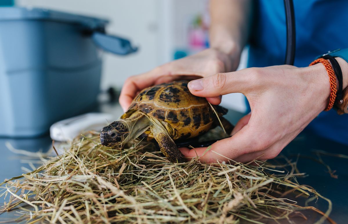 AdobeStock 439403968