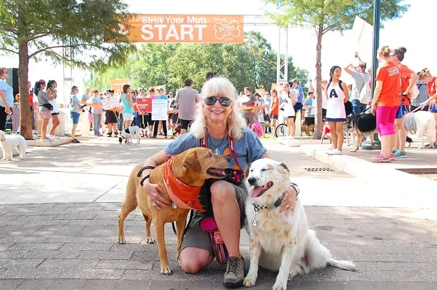 Two pups accompany a lady at the Best Friends' Strut Your Mutt fundraiser. Photo Credit: DogTipper.com
