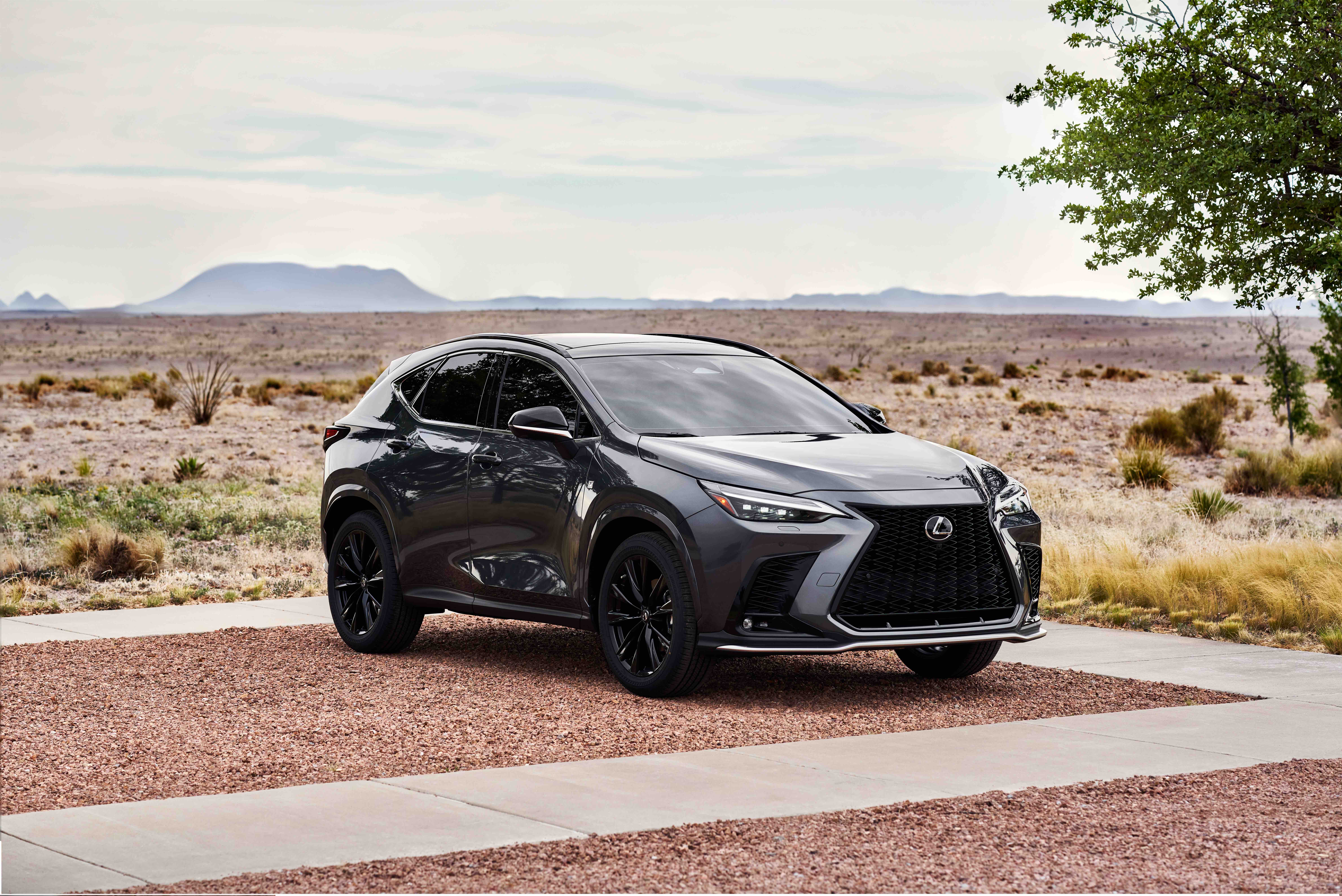 2022 Lexus NX 350 F Sport test drive review | KSL Cars Resources