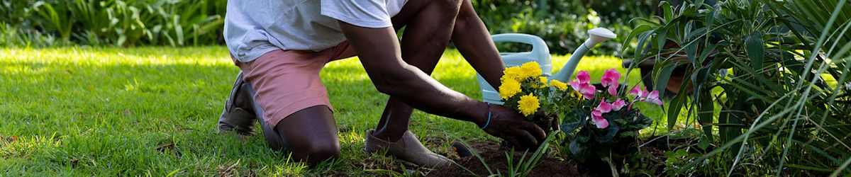 7 ways to revitalize your Home and Garden spaces