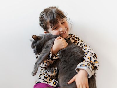 How Utah's first cat cafe is helping cats find forever homes
