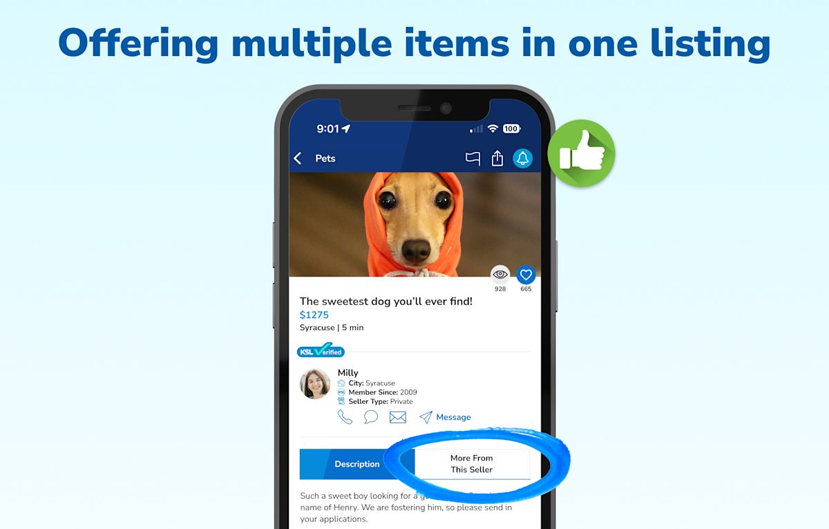 Graphic 11 - Offering multiple iteams in one listing