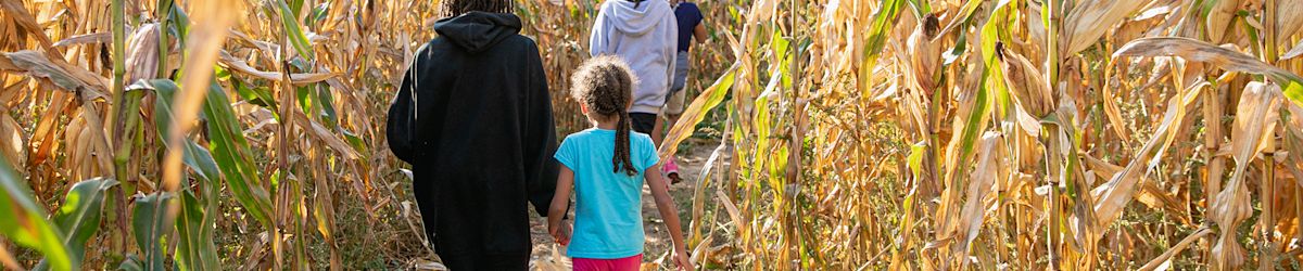 Score secondhand tickets for Utah fall events or Utah concerts on KSL