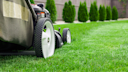 Lawn Care & Maintenance