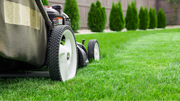 Lawn Care & Maintenance