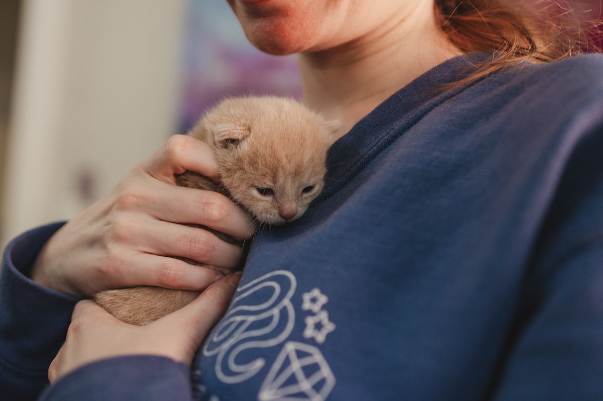 AdobeStock 1526998662