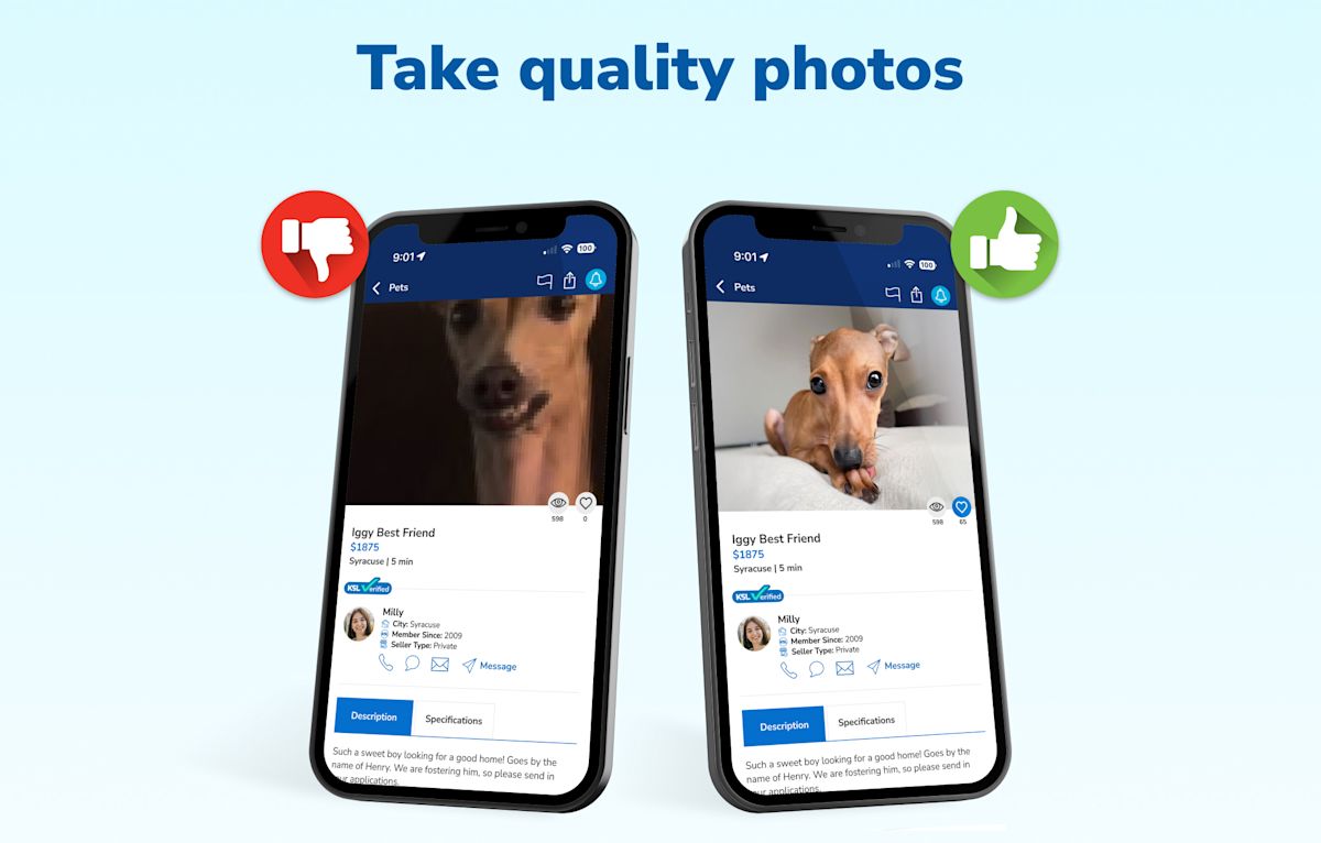 Graphic 1 - Take quality photos