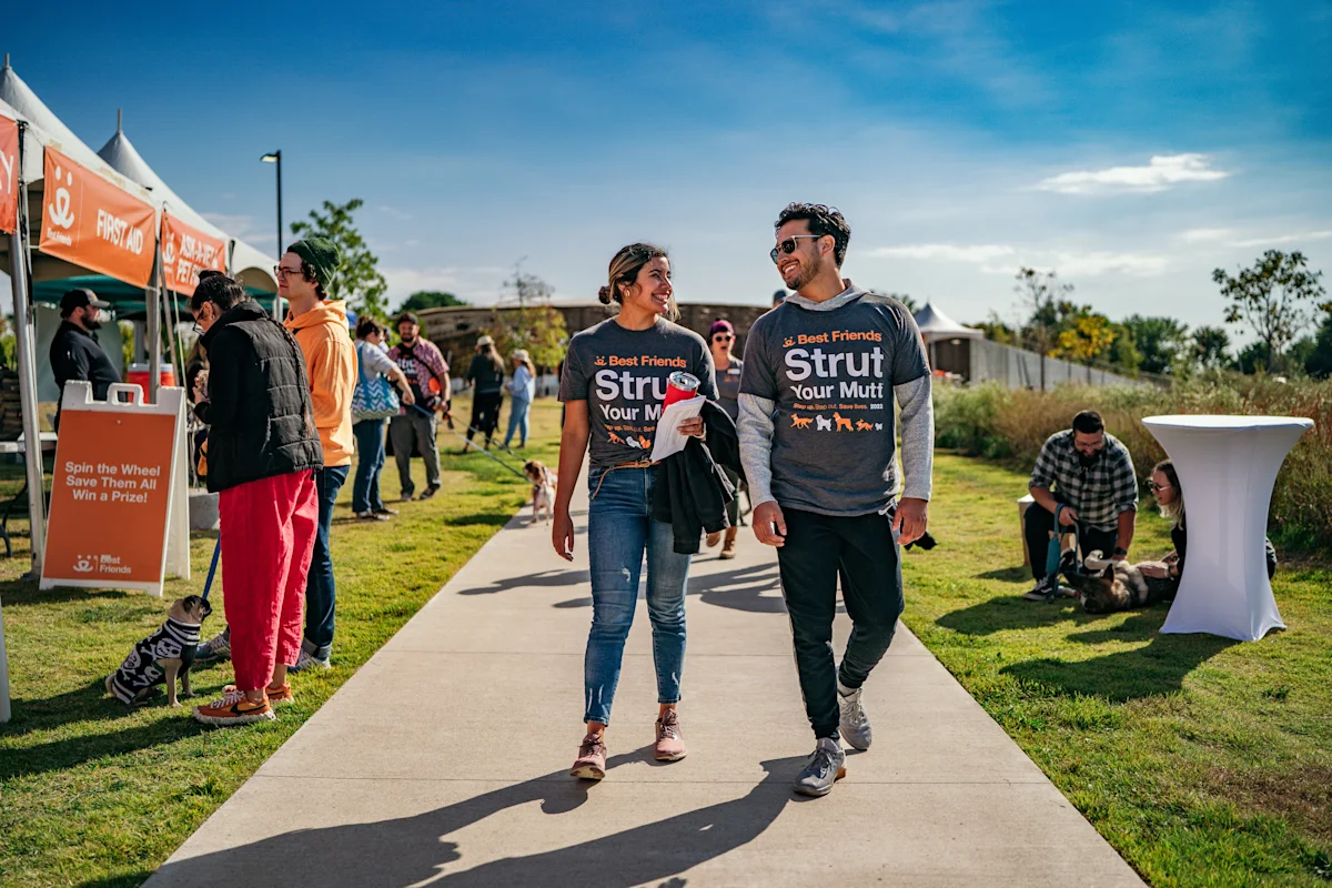Attendees walking at the Strut Your Mutt event. Photo by Russell Bloodworth