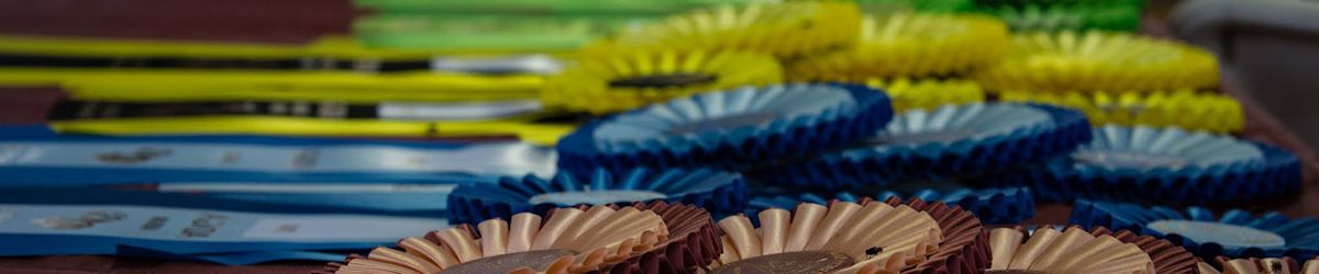 The 2024 Utah State Fair wants you! Enter the Competitive Arts to show off your skills