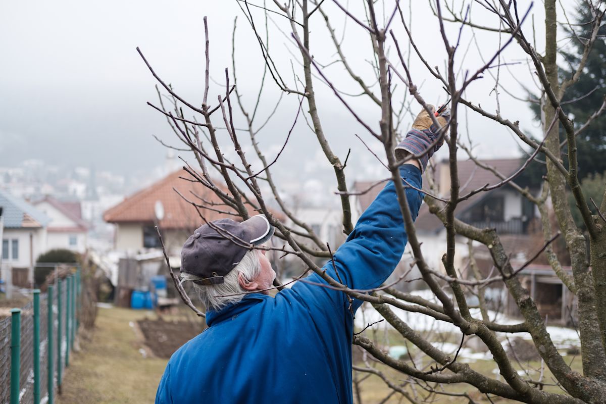 AdobeStock 770966774